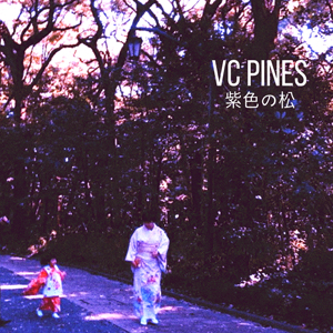 Vixen - VC Pines